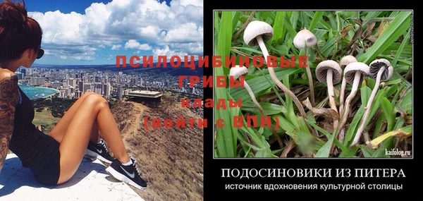 марки nbome Новозыбков