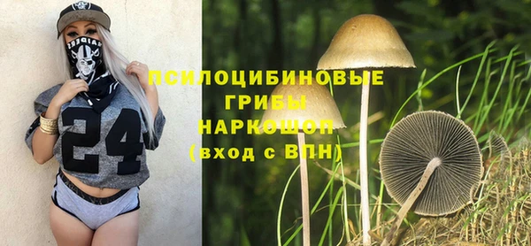 ALPHA PVP Няндома
