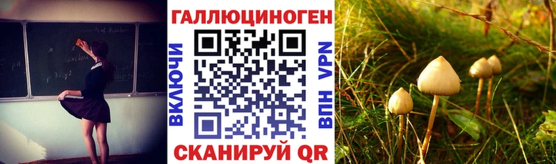 Псилоцибиновые грибы мицелий  Кашира 