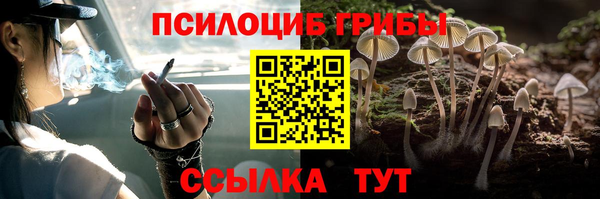 Псилоцибиновые грибы ЛСД Кашира