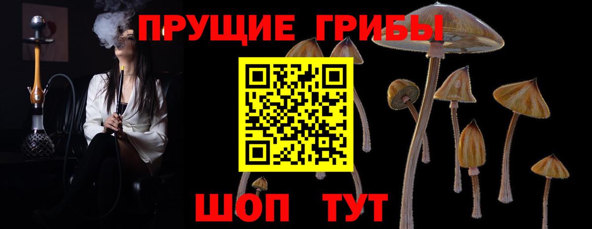 Галлюциногенные грибы мухоморы  Псилоцибиновые грибы MAGIC MUSHROOMS  Вход с VPN  Кашира 